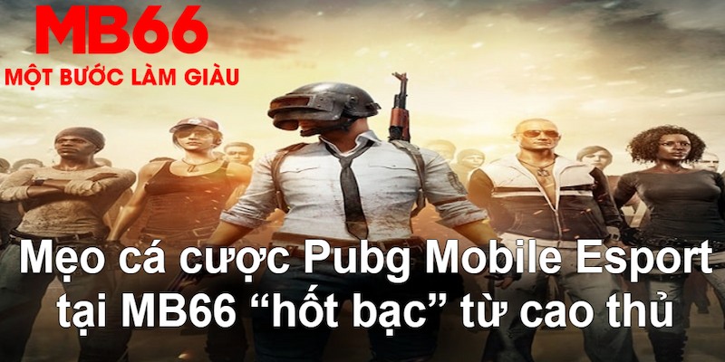 qh8888 gà chọi mộc hóa